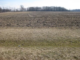 Property photo 13 - 116 +/- Acres Offered in 4 Tracts - Land & Cattle Facility Auction